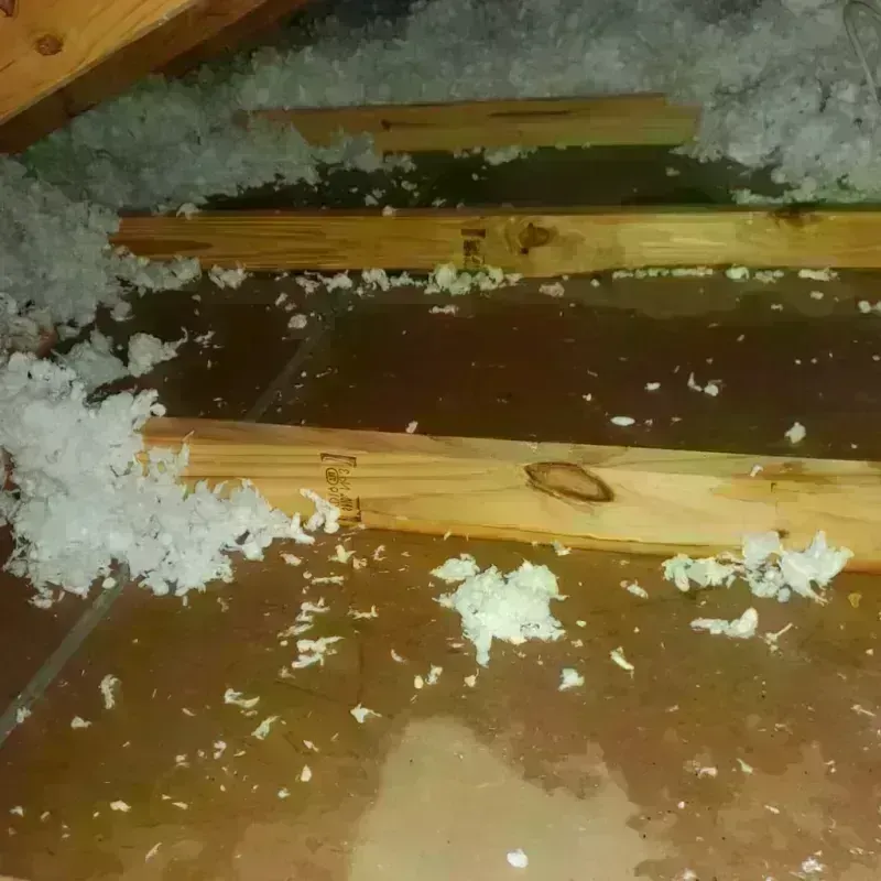 Attic Water Damage in Kanabec County, MN