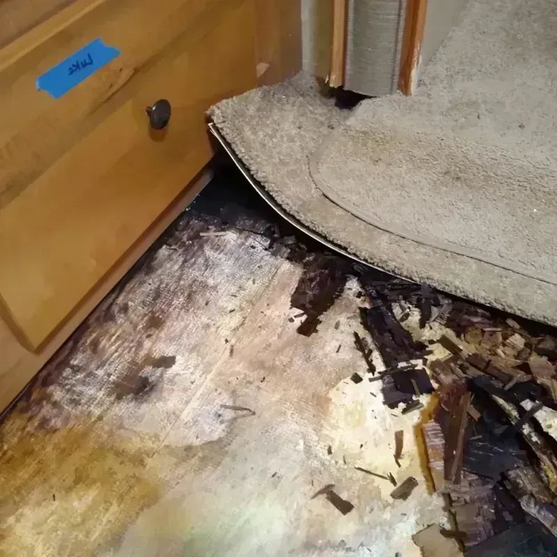 Best Wood Floor Water Damage Service in Kanabec County, MN